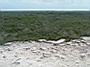 Mexico 2005 093.jpg